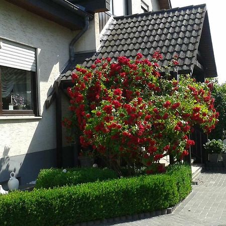 Ferienwohnung Raupe フリッツラー エクステリア 写真